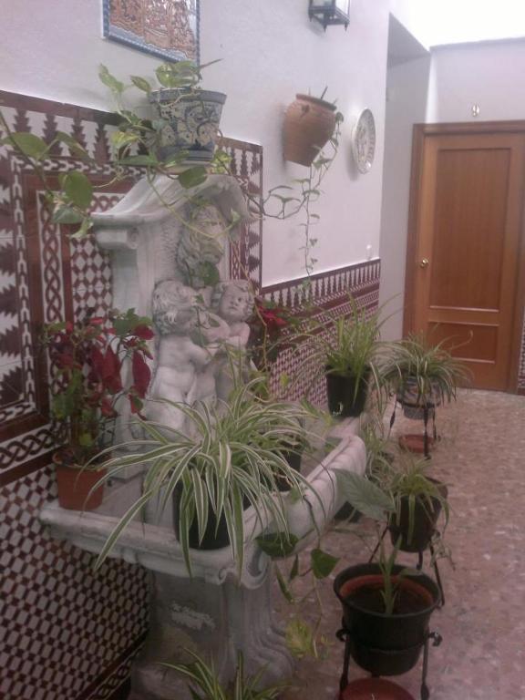 Hostal Los Dos Naranjos Эль-Арааль Номер фото