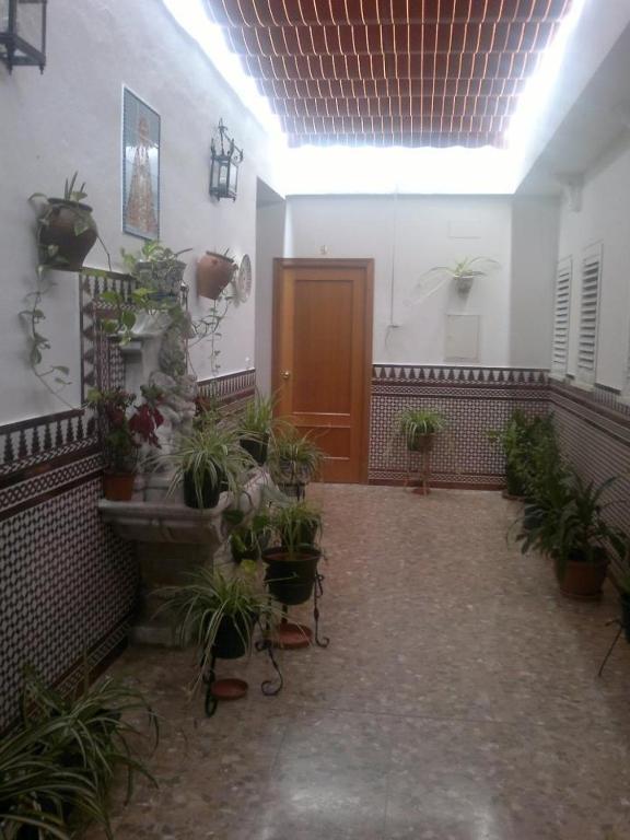Hostal Los Dos Naranjos Эль-Арааль Номер фото